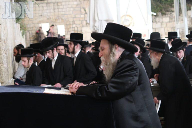 ערלוי בכותל המערבי (3)