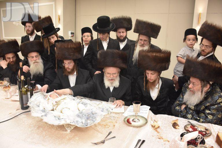 קאמארנא ב''ב - נדבורנה - פדיון הבן (8)