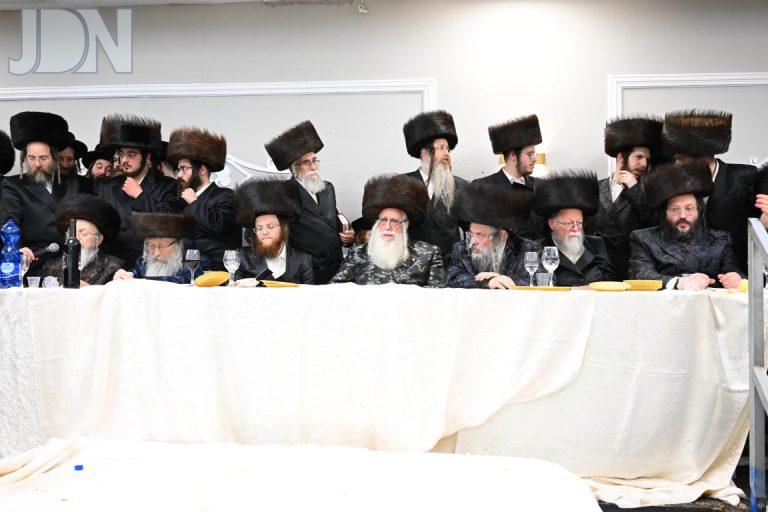 שמחת בית צאנז צילום משה גולדשטיין (13)