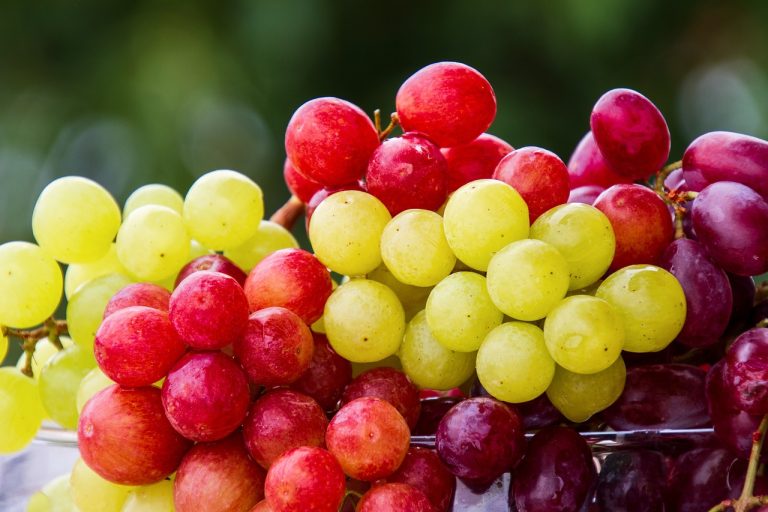 grapes-5889697_1280