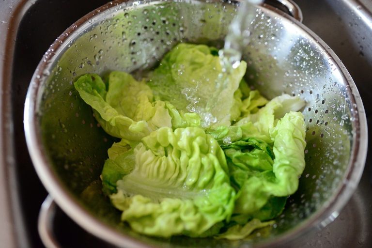 salad-5196199_1280