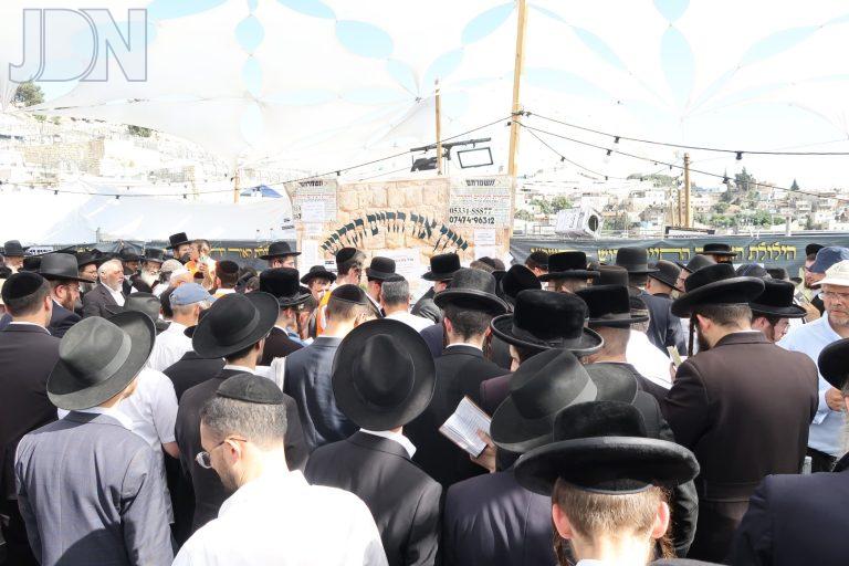 הילולת האור החיים הר הזיתים (21)