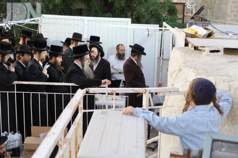 לעלוב צפניה הילולת הארי פג (6)