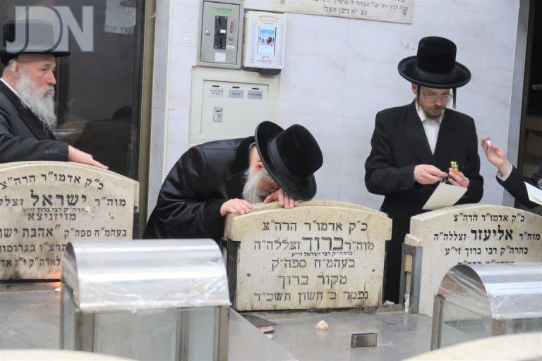 נדבורנה ירושלים אהל ויז'ניץ (7)