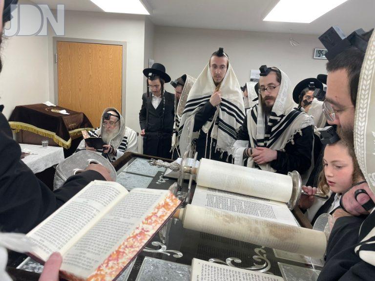 צאנז קלויזענבורג בלייקווד (2)