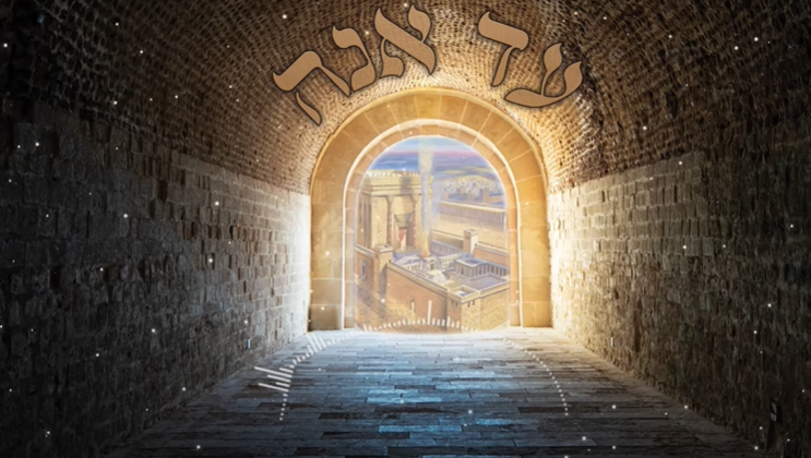 צילום מסך 2023-07-11 152821
