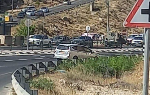 צילום מסך 2023-07-16 093236