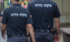צילום מסך 2023-07-31 152802