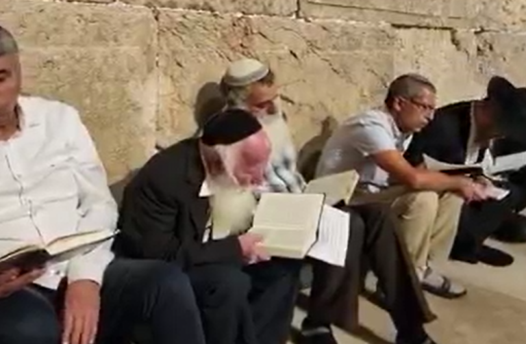 ‏‏לכידה