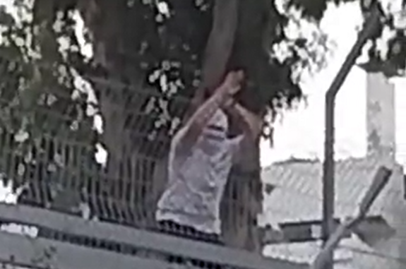 ‏‏צילום מסך (172)