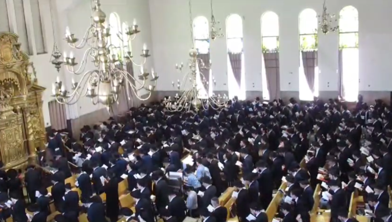 ‏‏צילום מסך (684)