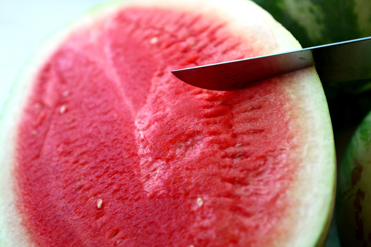 illustration of watermelon