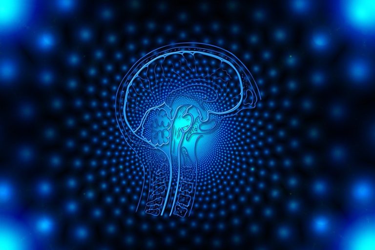 brain-4927267_1280