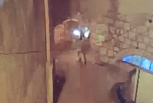 ‏‏לכידה