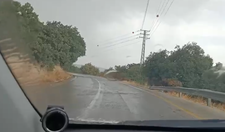 ‏‏צילום מסך (714)