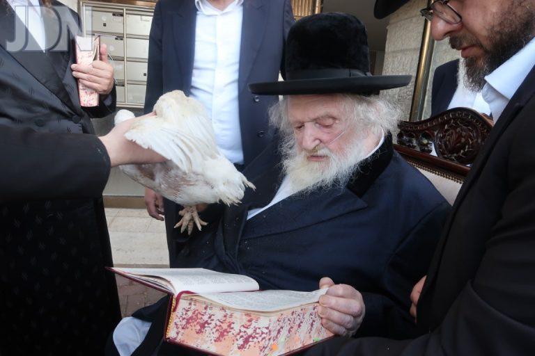 2הגר''מ שטרנבוך כפרות (2)
