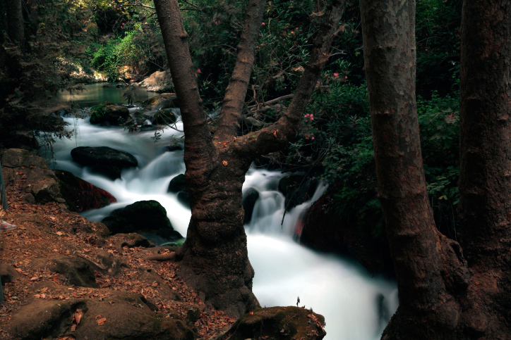 BANIAS NATURE RESERVE