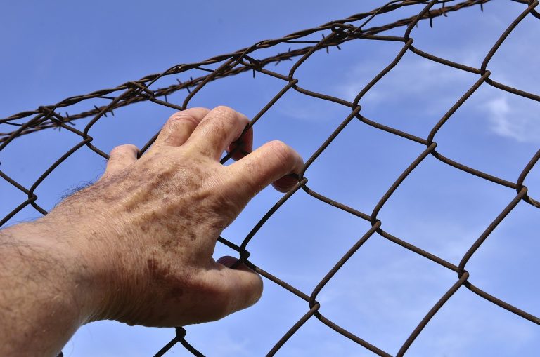 barbed-wire-1408454_1280