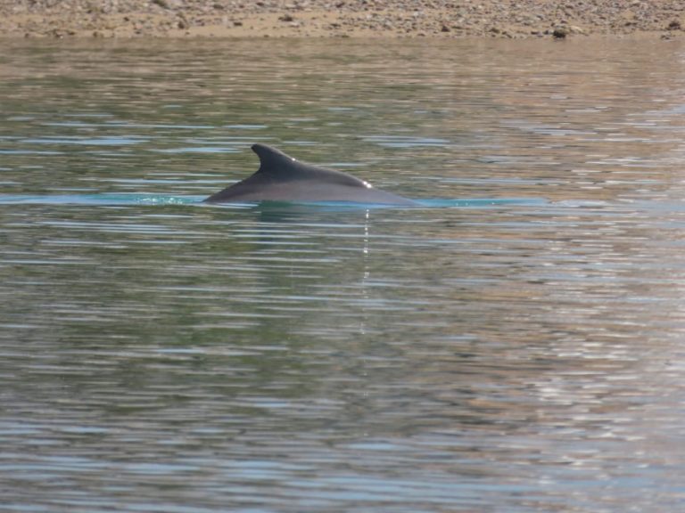 photo1694509465
