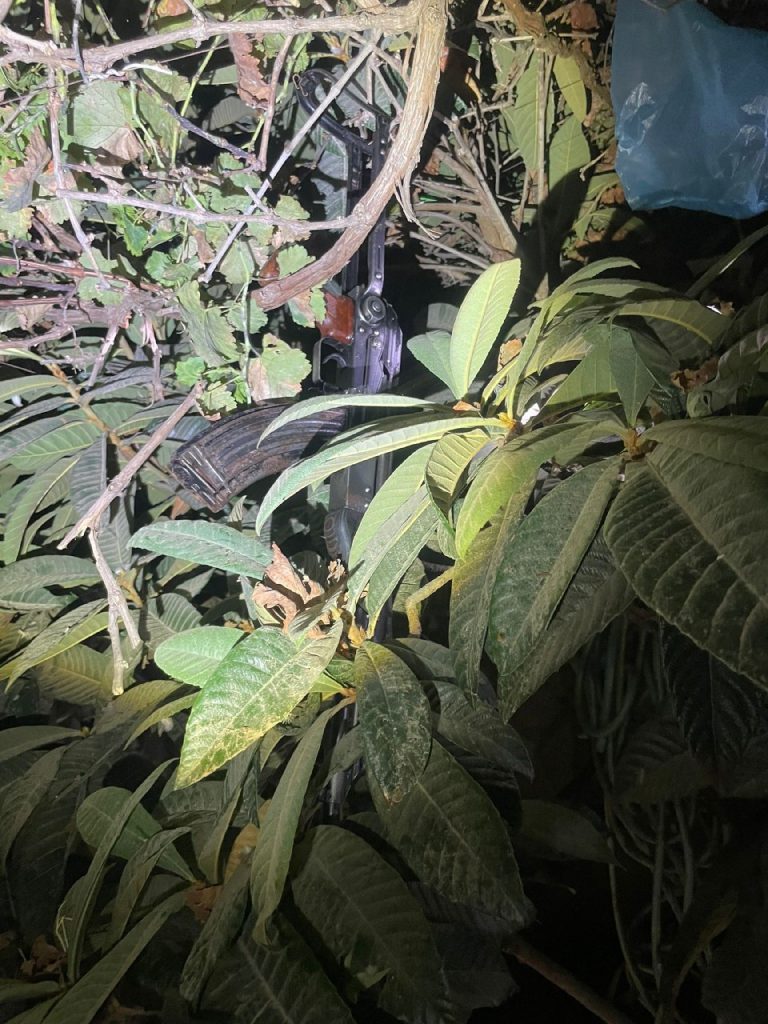 photo1695531097