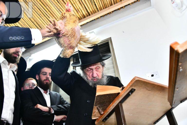 הגר''ד לנדו כפרות (8)