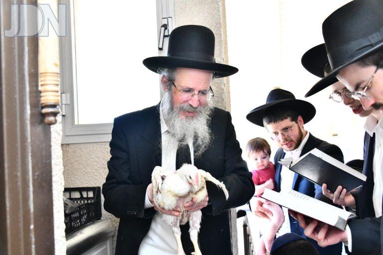 הגרח''פ ברמן פדיון כפרות (7)