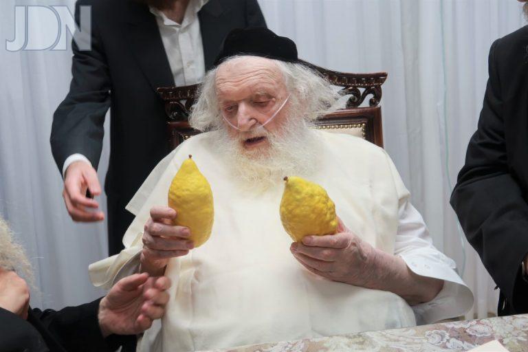 הגר''מ שטרנבוך בדיקת ד מינים פד (19)