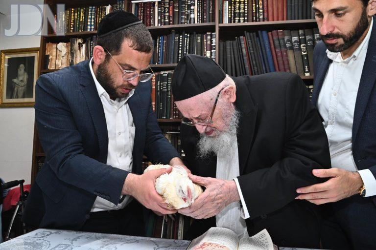 הגרמ''צ ברגמן כפרות פד (4)