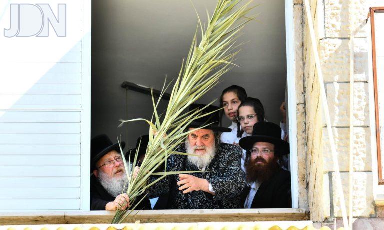 ויז'ניץ סכך סוכות פד (9)
