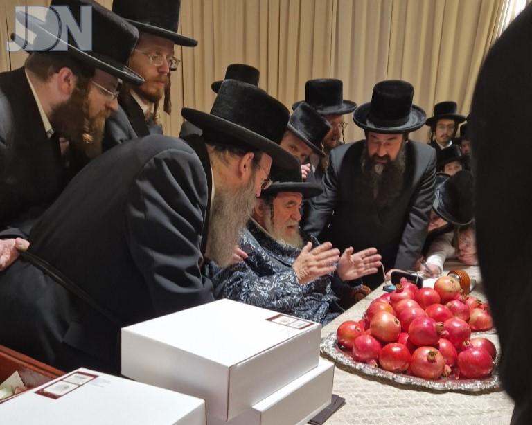 ויז'ניץ רפואה וחיים (3)