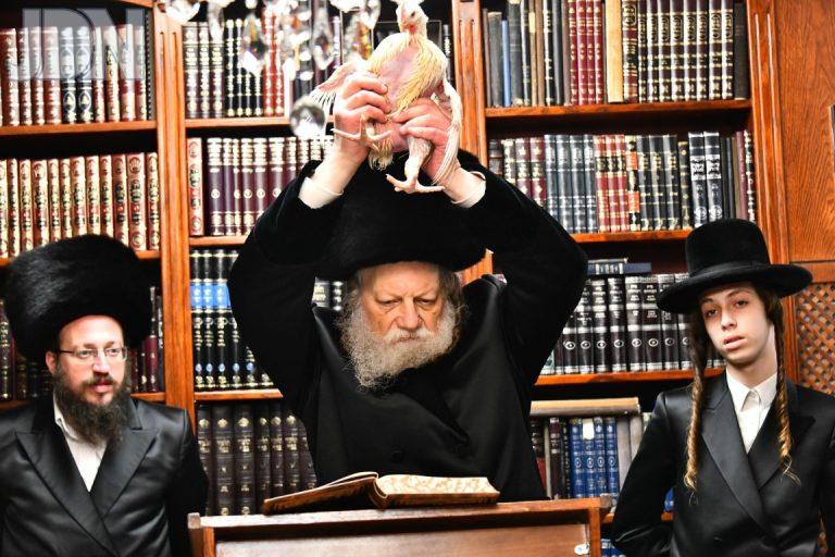 מודז'יץ כפרות (7)