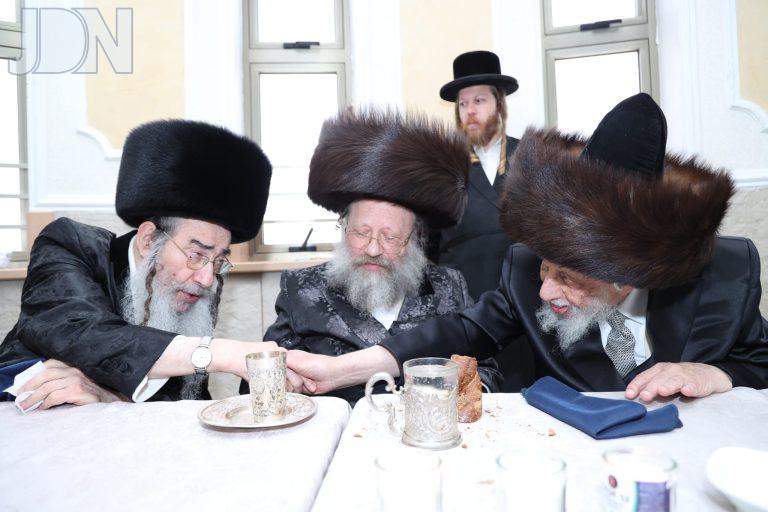 נדבורנה באניא קאפיטשיניץ אלכסנדר ברית (9)
