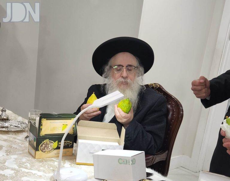 צאנז קלויזנבורג אתרוגים פד (3)