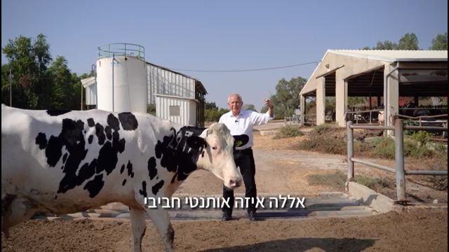__צילום מסך (294)_640x360