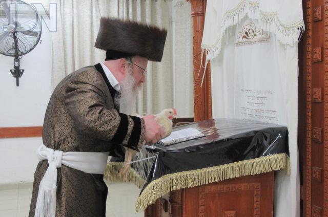 קרעטשניף קרית גת עריו''כ פד (2)