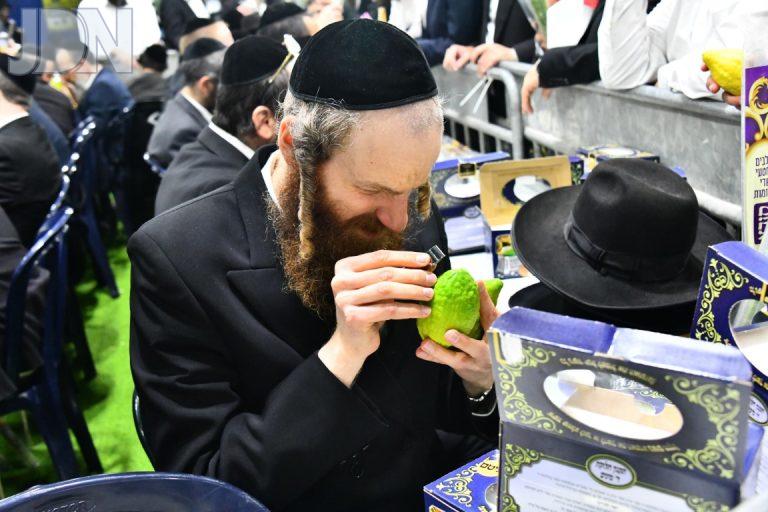 שוק ארבעת המינים בני ברק פד (23)