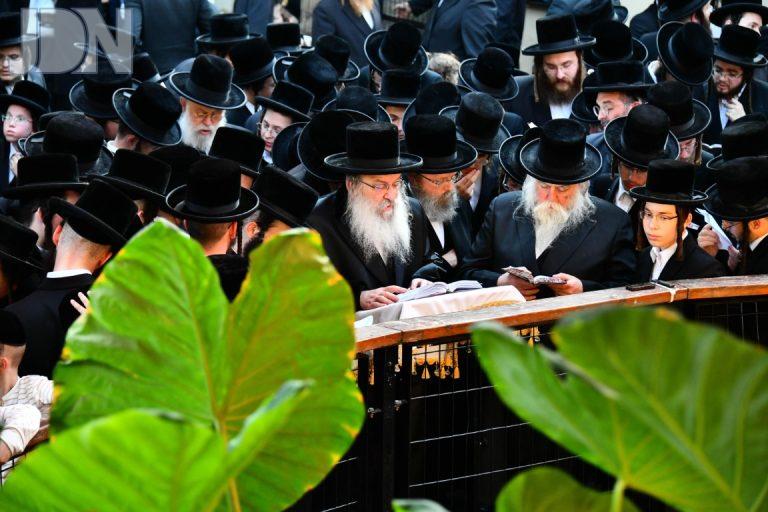 תשליך נדבורנה (20)