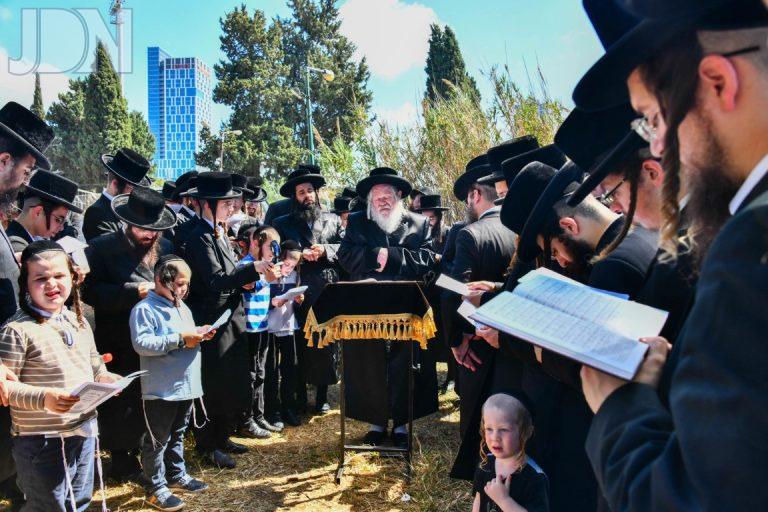 תשליך פרימשלאן (1)