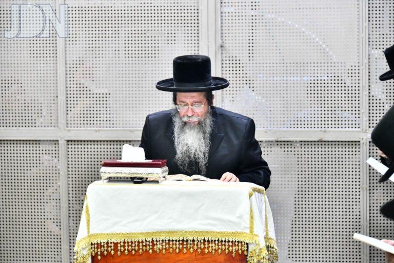 תשליך שבט הלוי (6)