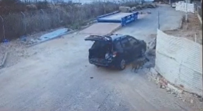 ‏‏לכידה