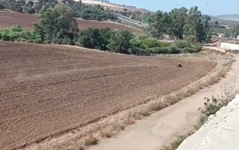 ‏‏לכידה
