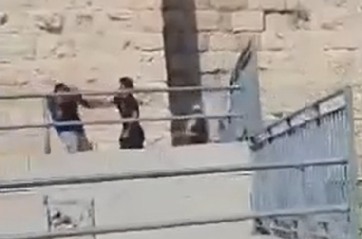 ‏‏צילום מסך (286)