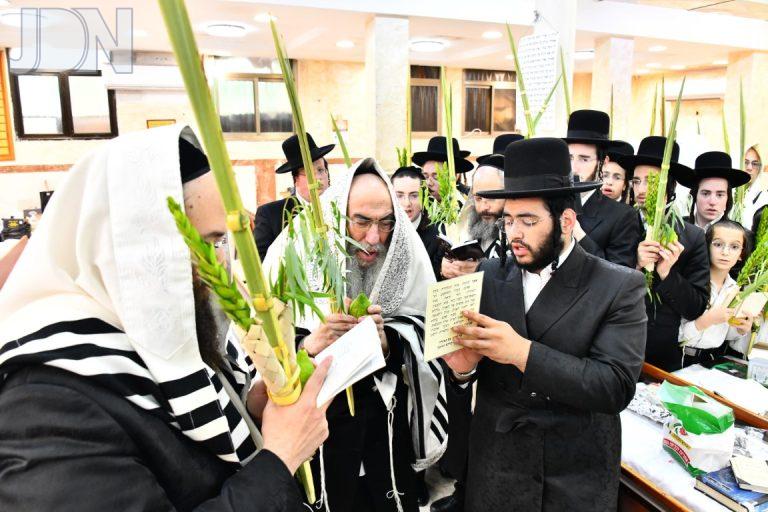 אלכסנדר נענועים (1)