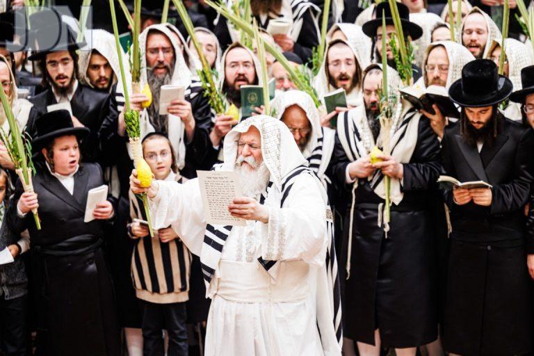 באבוב סוכות תשפ''ד (54)