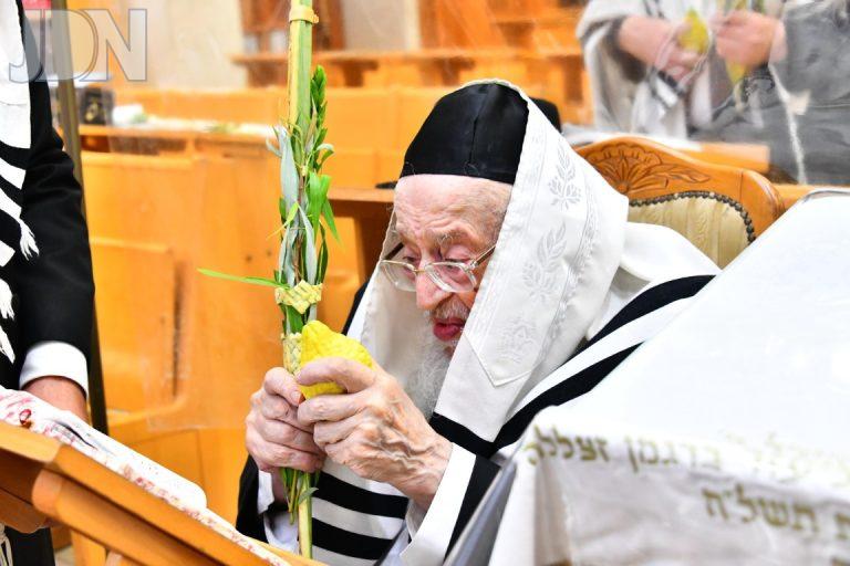 הגרמ''צ ברגמן נענועים (5)