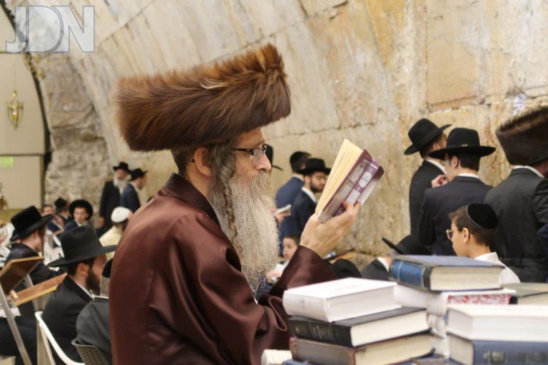 הגר''נ בידרמן בתפילה בכותל המערבי (8)