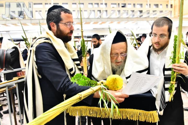 הושענא רבא בהיכל ישיבת פוניבז' (6)