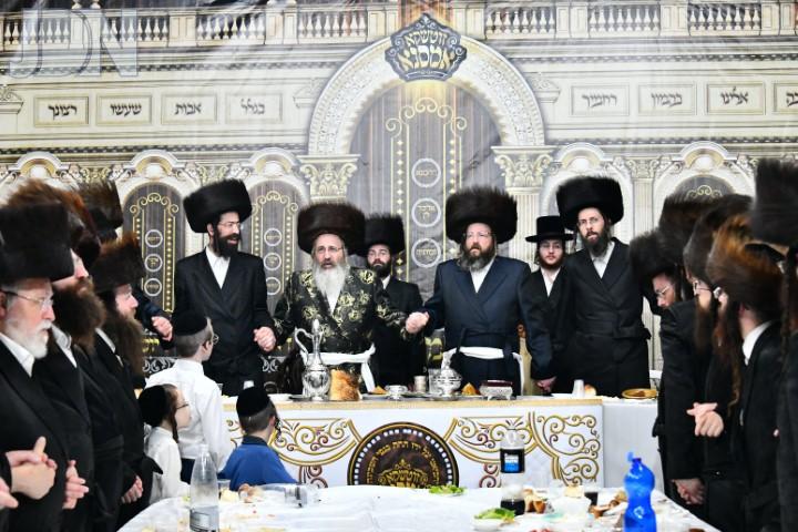 זוטשקא אמסנא סוכות פד (17)