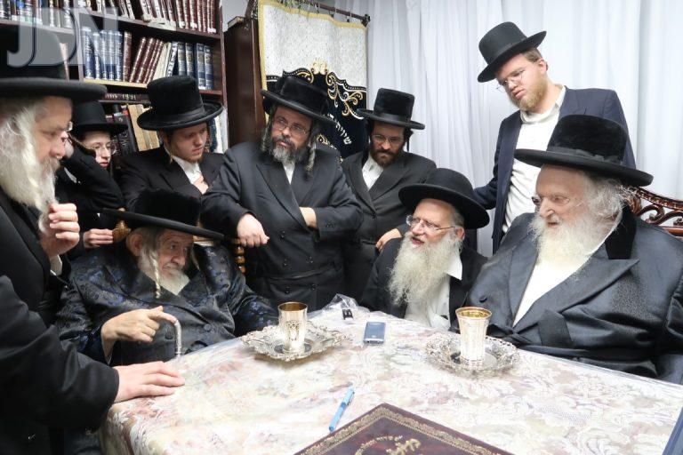 טעמשוואר הגר''מ שטרנבוך ביקור (5)