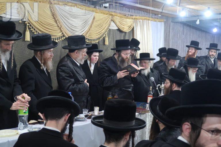 טשאבא הילולא (3)